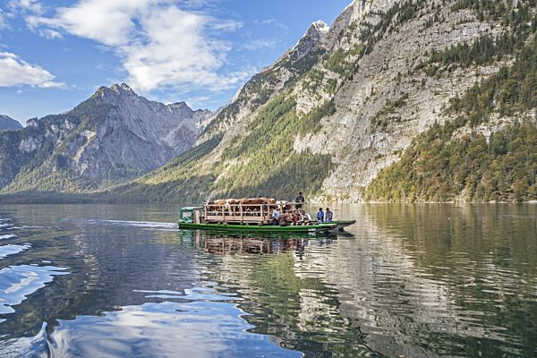 Chiemgau: Koenigsee, Almabrieb