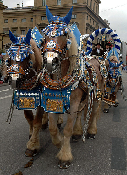 Oktoberfest  - Trachten- und Schützenzug