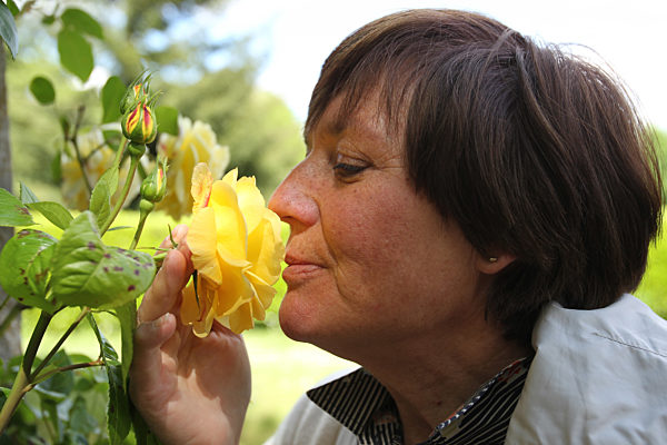 Rosi Mittermaier mit einer gelben Rose in den " versteckten Gärten" von Dewstow
