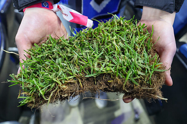 2.BL - 24/25 - Hamburger SV - SSV Ulm