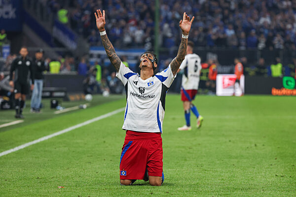 2.BL - 24/25 - Hamburger SV - SSV Ulm