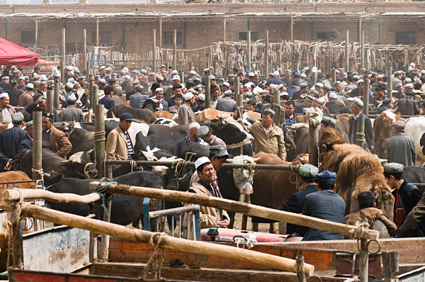 China Xinjiang; der Tiermarkt von Kaschgar