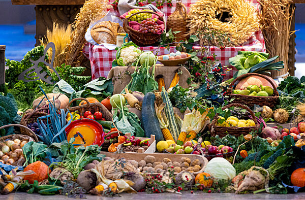 Landeserntedankfest Niedersachsen