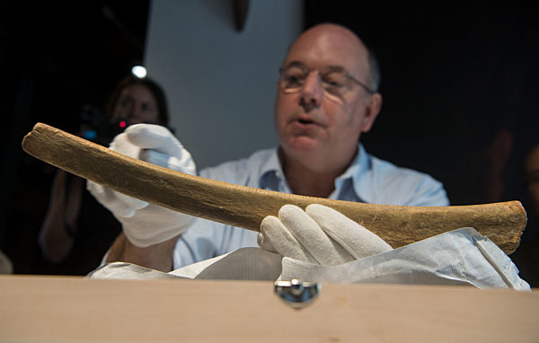 Mammutrippe mit Markierungen