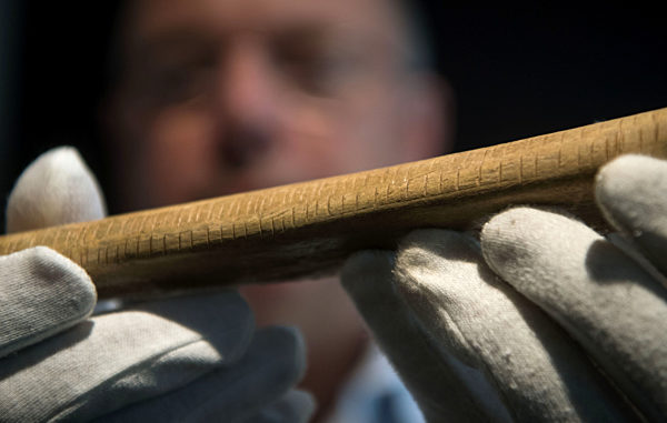 Mammutrippe mit Markierungen