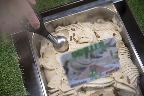 Eisverkäufer setzt auf Insekten