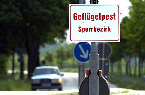 Geflügelpest-Verdacht in Viersen