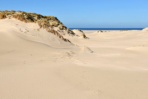 Sandy dunes and the beach in the distance, Germany