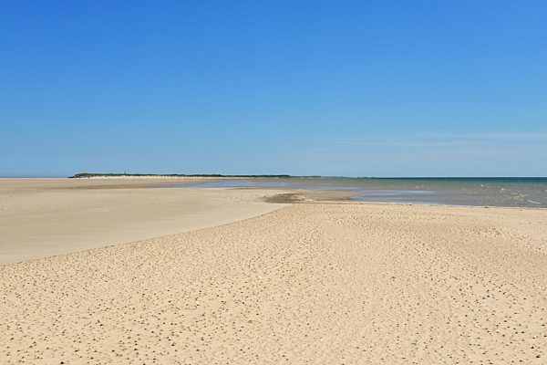 Sandbank Billriff with small shells ain the sand, Germany