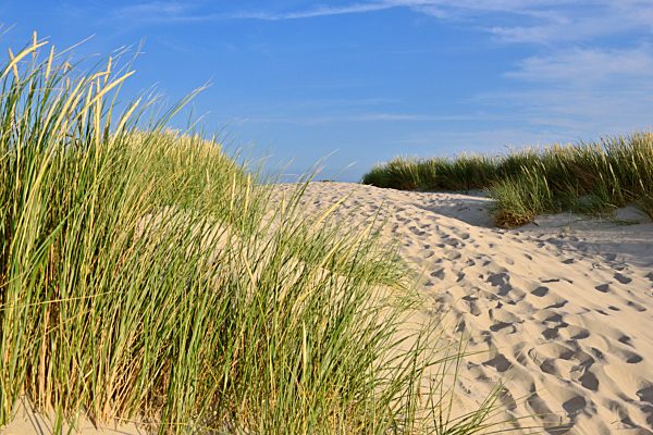 Footprints in the sandy path above the dune belt, Germany