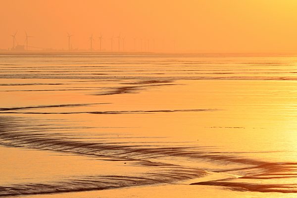 The bay Dollart by low water, Germany