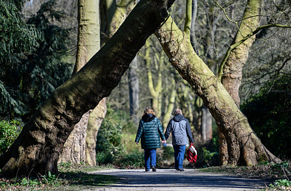 Fruehling - Spaziergang im Park