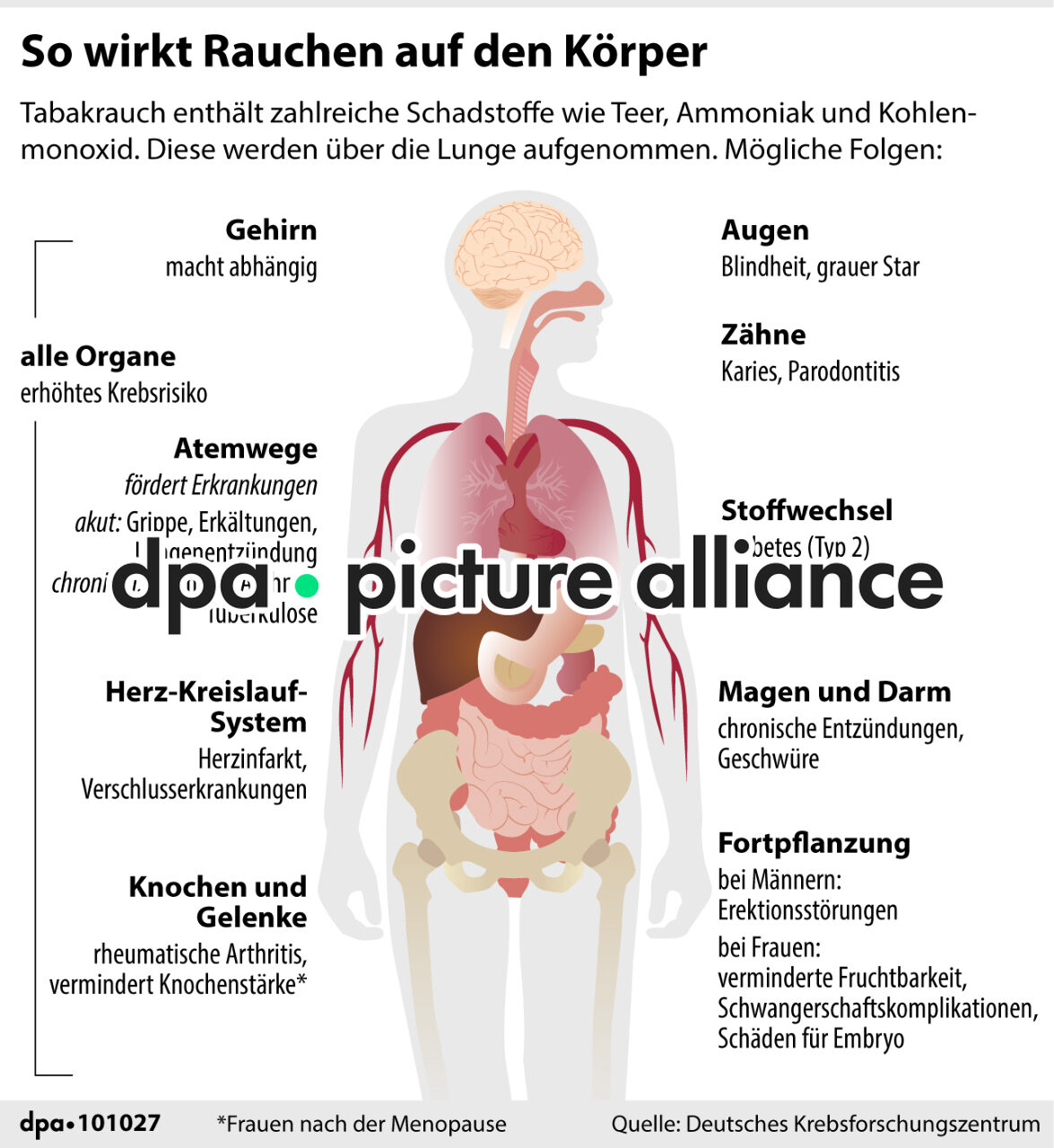 So wirkt Rauchen auf den Körper (31.03.2026)