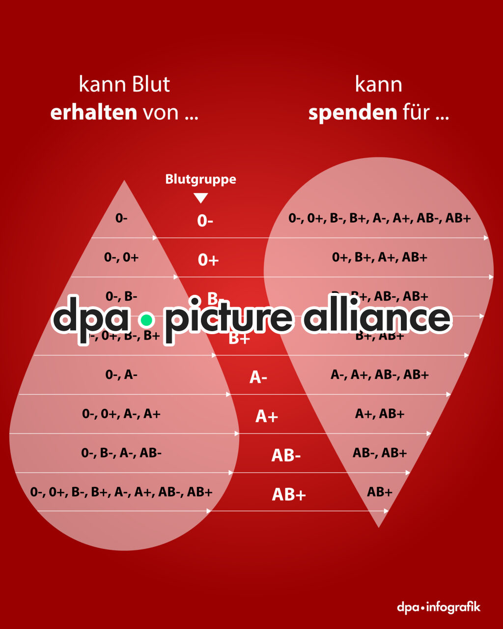 Wer kann wem Blut spenden - und warum?  (15.01.2026)