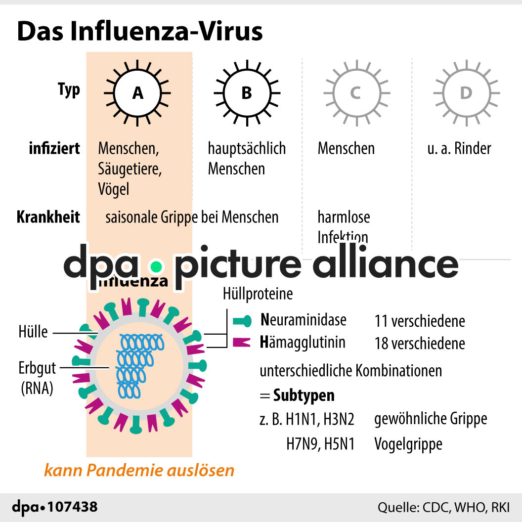 Das Influenza-Virus (11.12.2025)