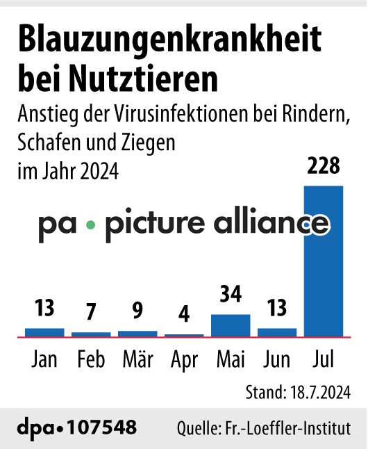 Blauzungenkrankheit bei Nutztieren (24.07.2024)