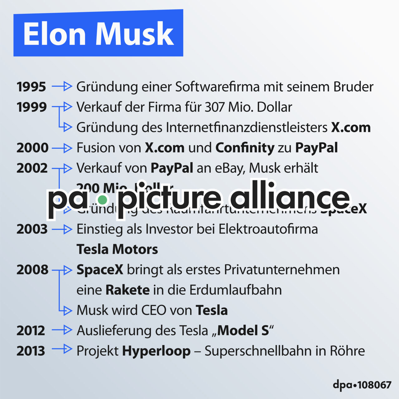 Bull Doge! Musk becomes head of government efficiency group