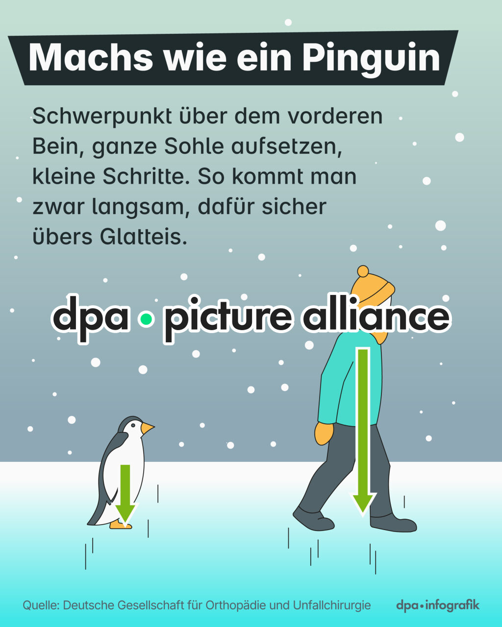 Sicher übers Glatteis: Der Pinguin-Gang (09.01.2026)