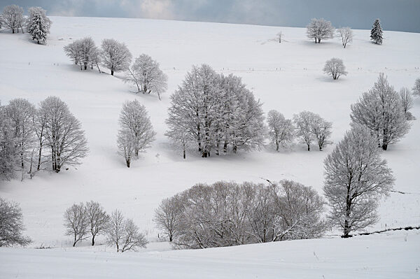 Winter im Thüringer Wald