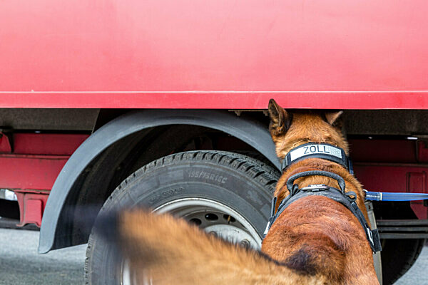 Bundespolizei an der Bearbeitungsstelle in Forst-Klein Bademeusel