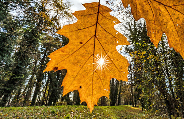 Wetter in Südbrandenburg