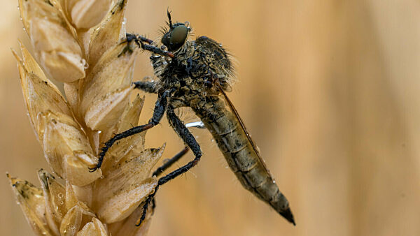 Regenwetter in Südbrandenburg