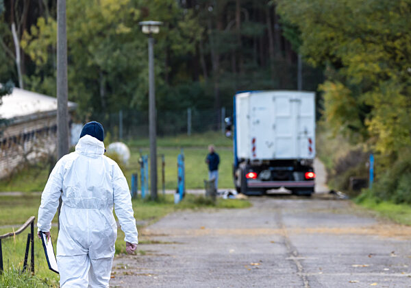 Vogelgrippe - Neuhardenberg