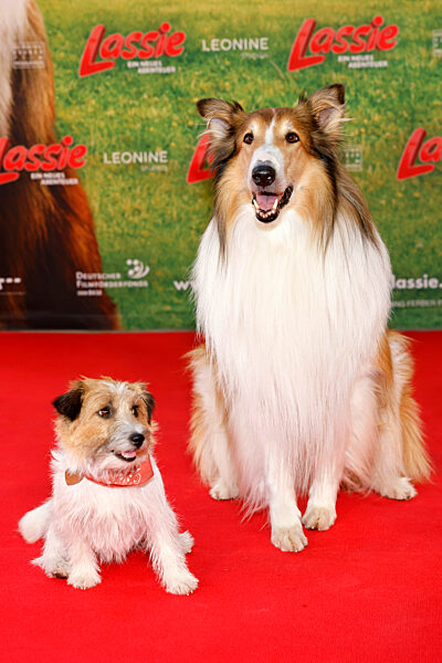Pippa und Lassie