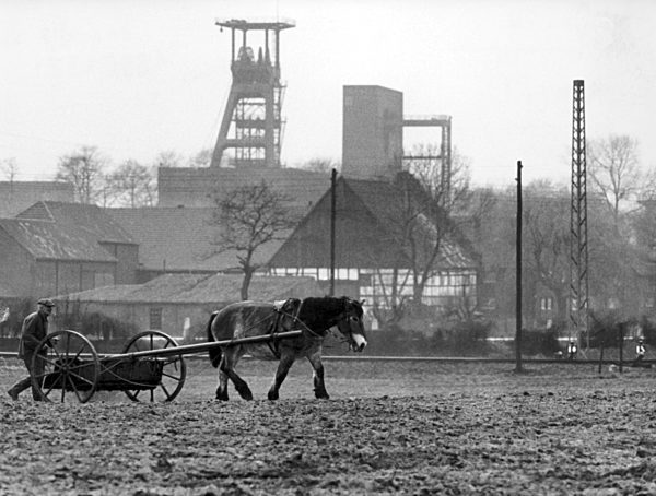 Ruhrgebiet - Ackerbau nahe einer Zeche