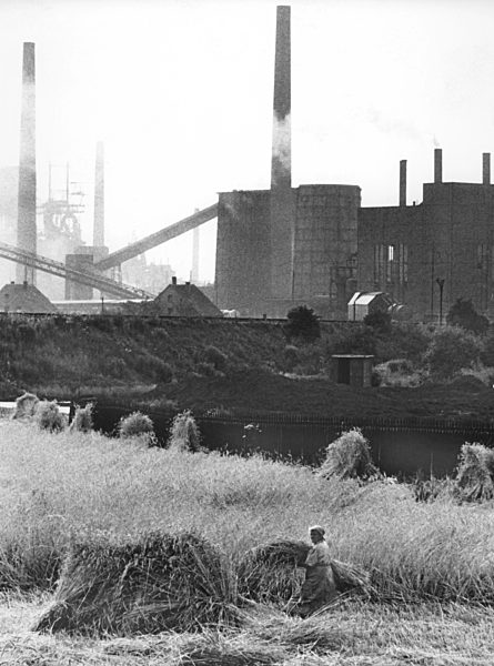 Ruhrgebiet - Getreideernte nahe einer Kokerei