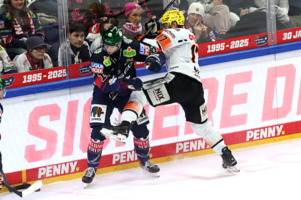 DEU, DEL, 1.EBL, Eisbaeren vs. Loewen Frankfurt,