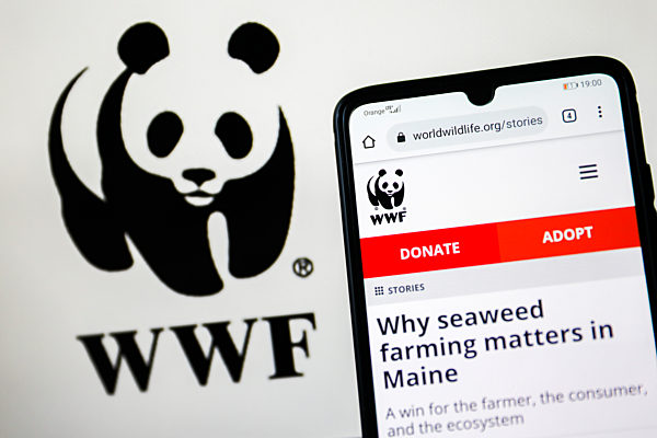 Largest World Organizations