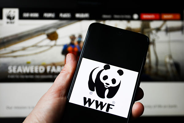 Largest World Organizations