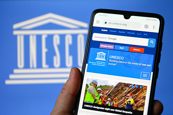 Largest World Organizations