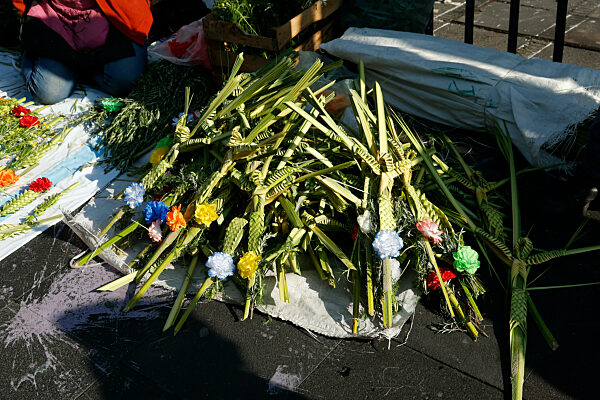 Palm Sunday Mass To Begin Holy Week