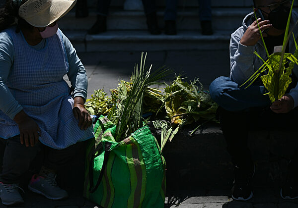 Palm Sunday Celebrations In Arequipa