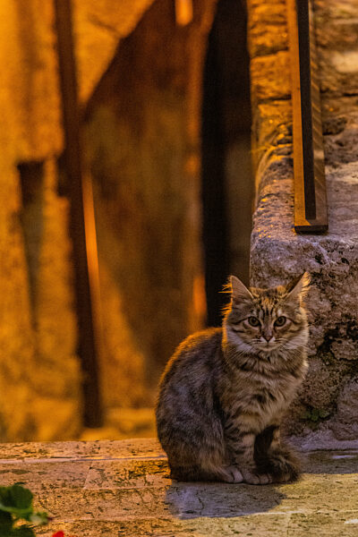 Daily Life In Santo Stefano Di Sessanio