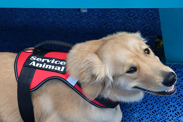 Daily Life In Bahamas