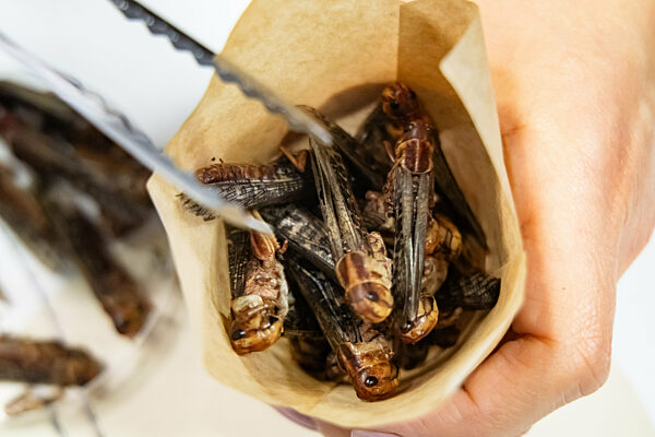 Green Week Fair in Berlin