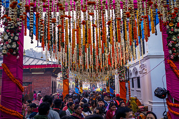 Maha Shivratri Festival In Kathmandu, Nepal