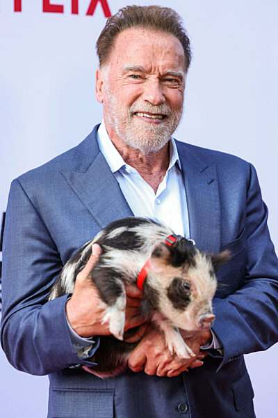 Los Angeles Premiere Of Netflix's 'FUBAR' Season 2