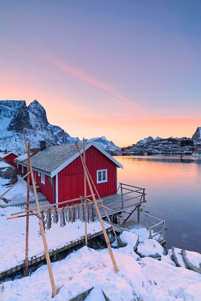 Stockfish and typical fishermen's cabin (Rorbu), Reine, Lofoten Islands, Norway