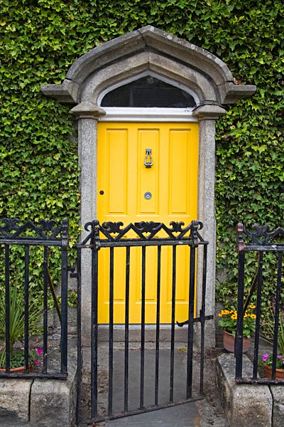Ivy covered doorway, Town of Borris, County Carlow, Leinster, Republic of Ireland, Europe