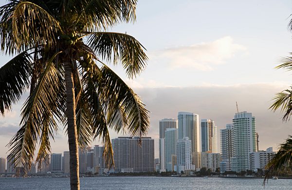 Downtown Miami skyline, Miami, Florida, United States of America, North America