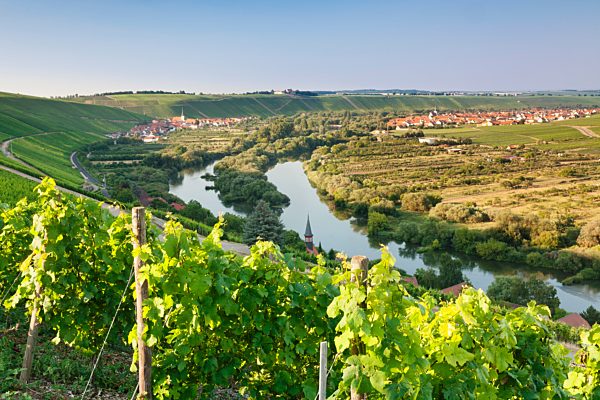 Vine village Escherndorf and Vogelsburg Castle, Volkacher Mainschleife Loop, Main River, Mainfranken, Lower Franconia, Bavaria, Germany