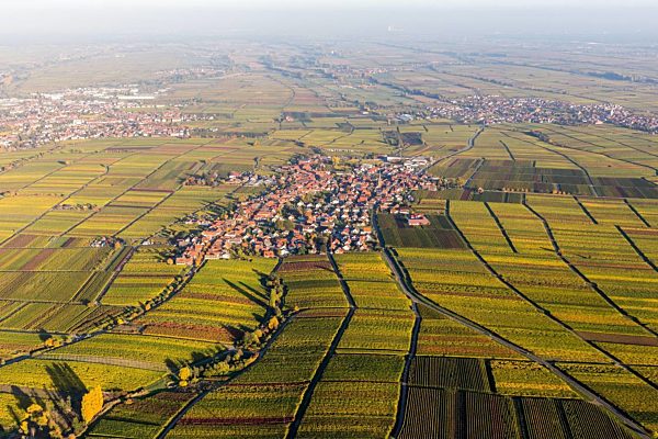 Dorf - Ansicht am Rande von Weinbergen im Herbstfärbung in Rhodt im Bundesland Rheinland-Pfalz, Deutschland