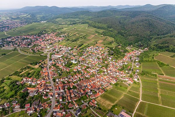 Dorf - Ansicht am Rande von Weinbergen und Wald in Rechtenbach im Bundesland Rheinland-Pfalz, Deutschland