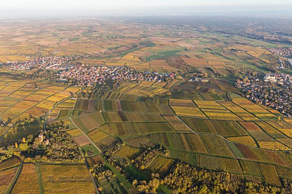 Dorf - Ansicht am Rande von Weinbergen des Sonnenberg in Schweigen im Bundesland Rheinland-Pfalz, Deutschland