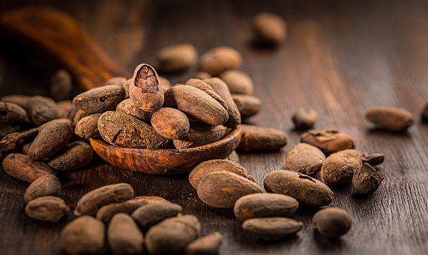 Cocoa beans on wooden background