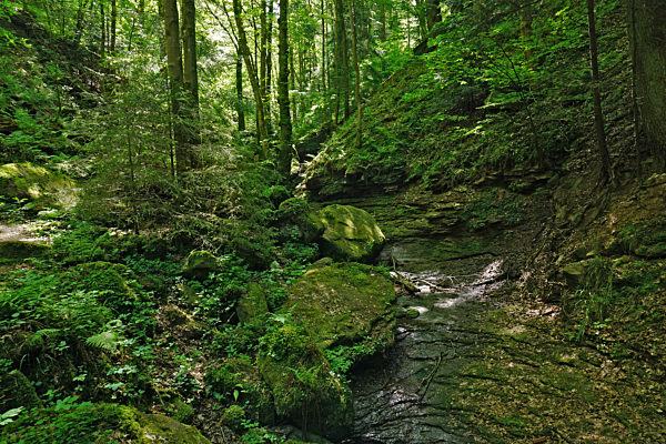 Wolfsschlucht bei Calw-Ernstmühl und Ottenbronn im Schwarzwald